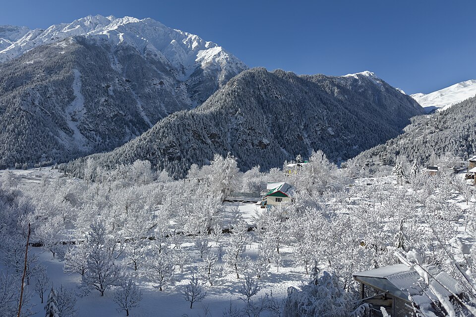 File:Orchards in snow, Sangla, Himachal Pradesh, India.jpg